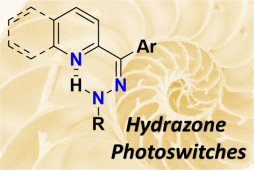 Hydrazones_2021