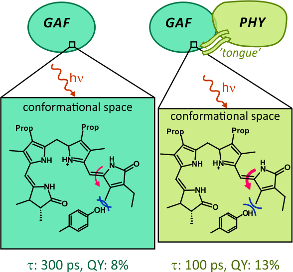 g1g2 dynamics_2020